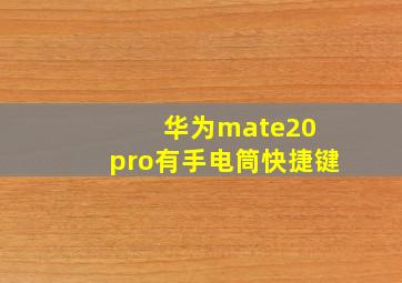 华为mate20 pro有手电筒快捷键